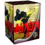 312_Ninja