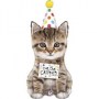 cuki-macska-cute-cat-folia-lufi-sx251225